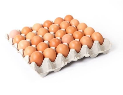 Fresh Eggs